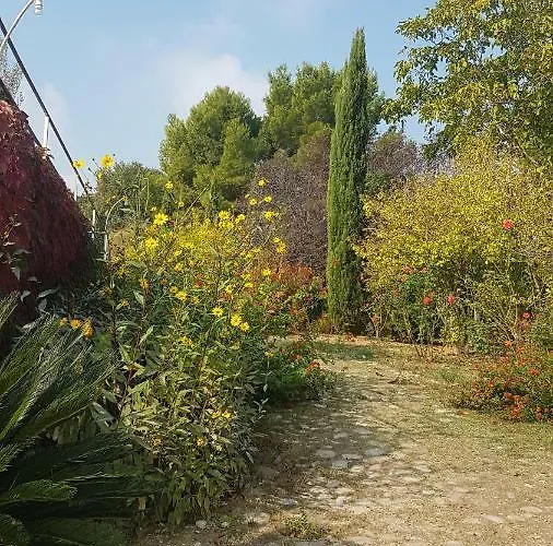 Diamante Costa Dei Trabocchi アパートホテル